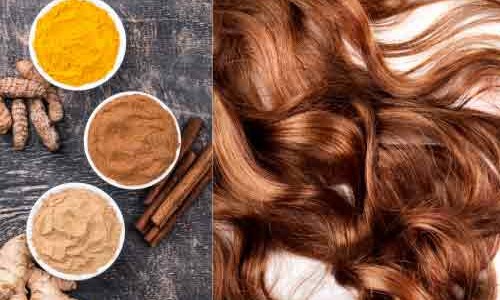 RECETTES POUR DES CHEVEUX SAINS ET VOLUMINEUX GRACE AUX POUDRES AYURVÉDIQUES